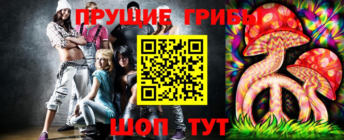 Псилоцибиновые грибы Psilocybe Киселёвск